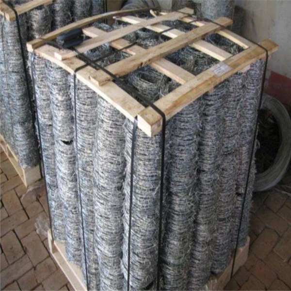 type of barbed wire/fence barbed wire army/steel wire fence/constantine wire for sale/barbed wire ring/bar wire