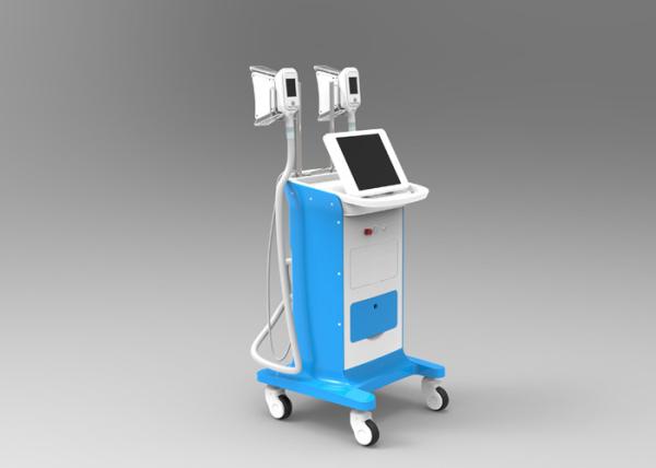 Christmas Promotion!!! With 10% Discount Off | Cryolipolysis Slimming Machine