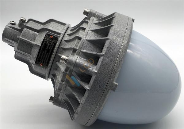 24V 20W IP66 Waterproof Explosion Proof LED Flood Light
