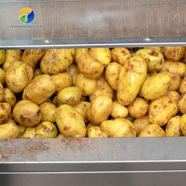 360KG Hair roller cleaning machine wavy brush Cassava cleaning machine commercial ginger peeling machine