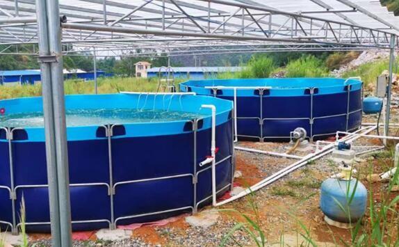 50000L Flexible pliable 0,9mm PVC bâche aquarium de poisson à l'extérieur étang de poisson Diy étang de poisson