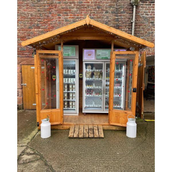 Remote Operation Metal Ice Cubes Vending Machine for Fast and Convenient Service