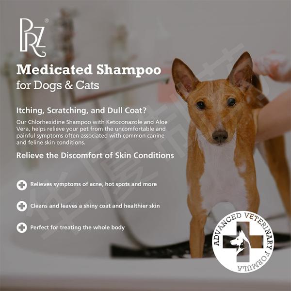 220ML Chlorhexidine Ketoconazole Shampoo For Dogs Cats And Horses