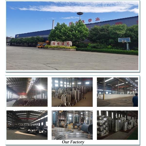 Dn150 Forged Stainless Steel Blind Flange F304L F316l 347H Material