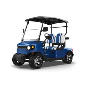 New Energy Blue Golf Cart 2 Person 48 Volt Electric Club Car Manufacturer