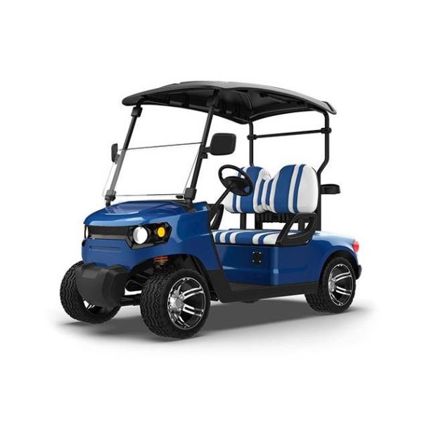 New Energy Blue Golf Cart 2 Person 48 Volt Electric Club Car Manufacturer