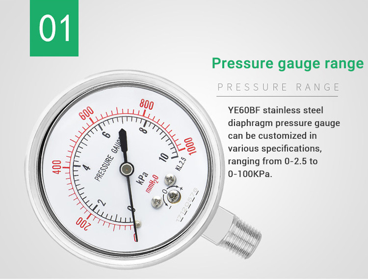 YE60BF 60mm Stainless Steel Diaphragm Seal Pressure Gauge with Customized Support OEM