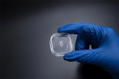 5 X 10 mm2 M Face GaN Epitaxial Wafer Thickness 325um 375um