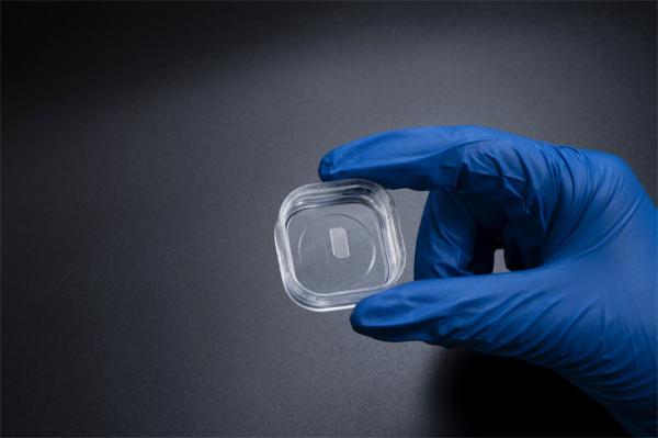 5 X 10 mm2 M Face GaN Epitaxial Wafer Thickness 325um 375um