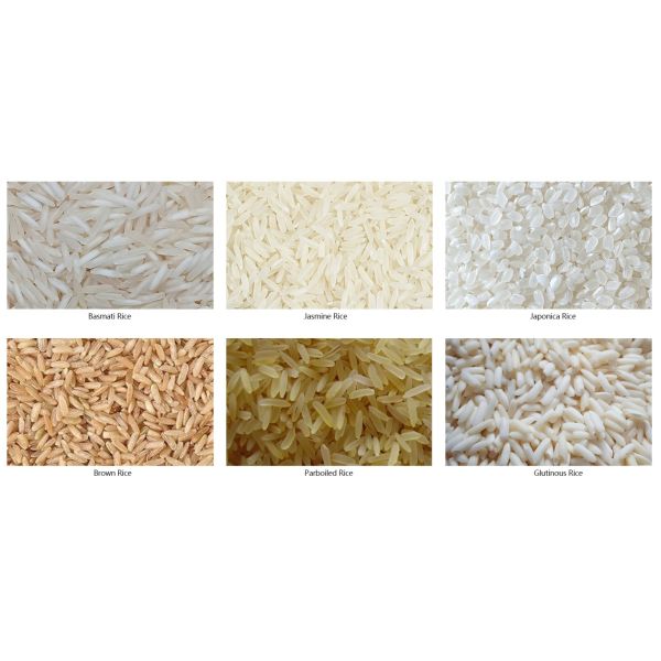 RGB Rice Sorter Machine With 64 Nozzles Rice Sorting Machine