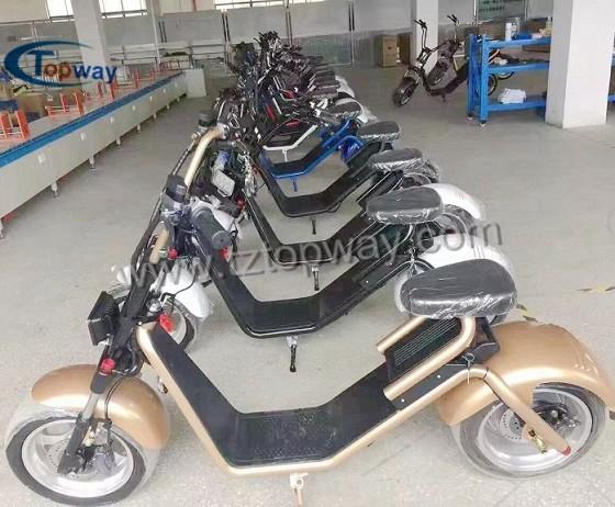 Popular Halley Electric Scooter 1000W 60V Fat Tyre Citycoco
