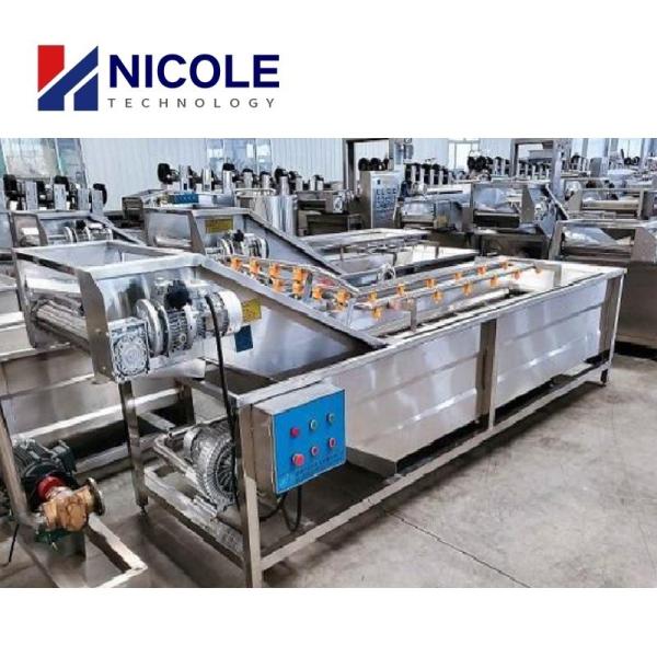 Bubble Fruit Vegetable Cleaning Machine Multifunctional Washer Type Customized