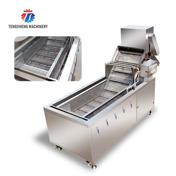 2.6KW Fruit and vegetable cleaning and processing equipment automatic washing machine conveyor belt bubble cleaning mach