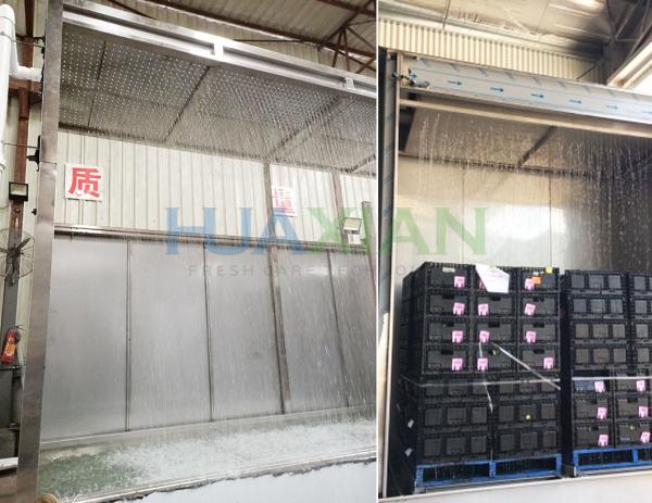 Stainless Steel 4 Pallet Water Chiller Type Hydro Cooler for Broccoli