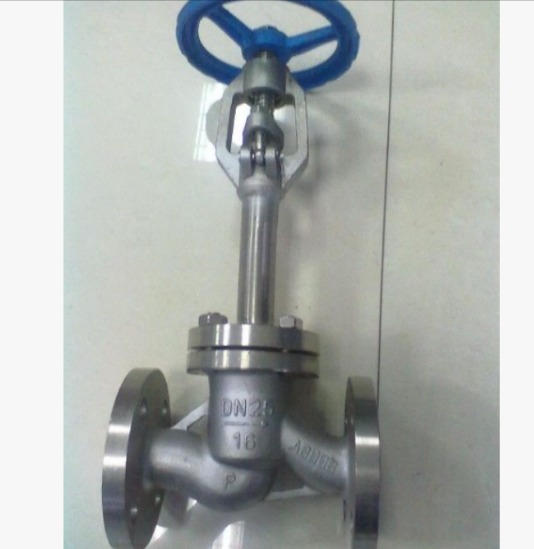 CF8 304 Stainless Steel Extended Stem Cryogenic Globe Valve Flanged OS&Y Low Temp Globe Valve for LNG Liquid Nitrogen Pipeline
