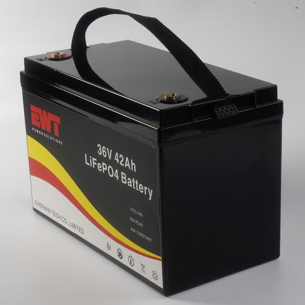 Black Portable 36V 42AH LifePo4 Battery Pack For Power Supply Chargeable and Long-Lasting