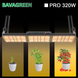 832 Umol/S SAMSUNG LM301H LED Grow Light 320W 60x120x200mm