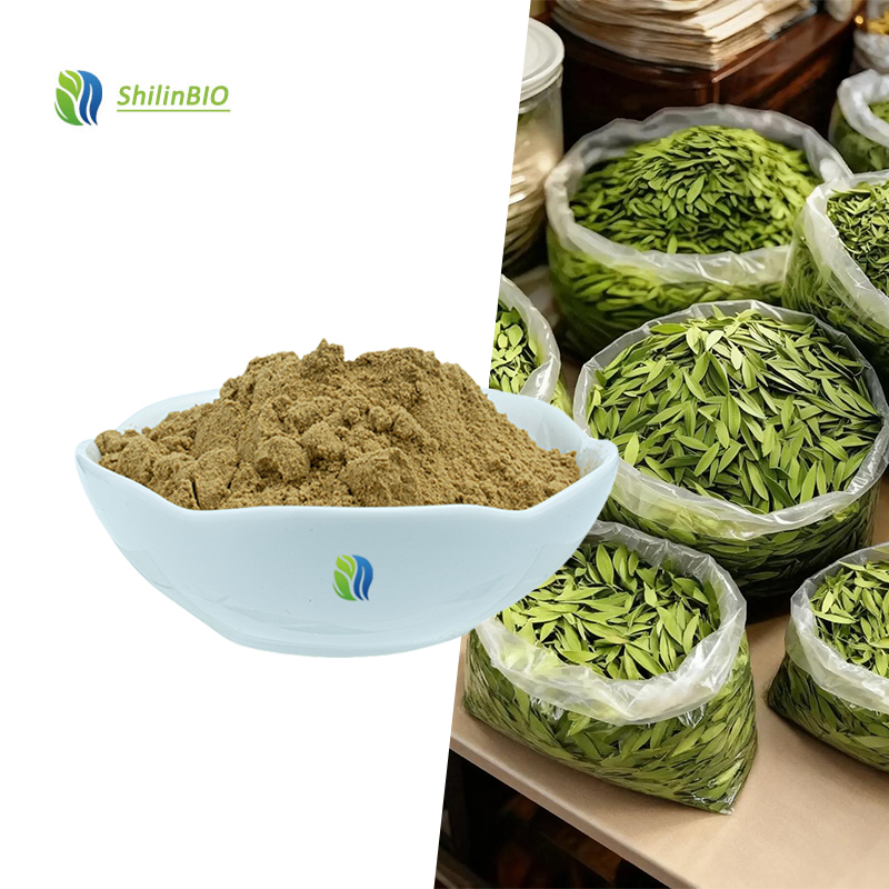 SLBIO Supply High Quality Senna Alexandrina Extract 10:1 20:1 30:1 Senna Extract Powder
