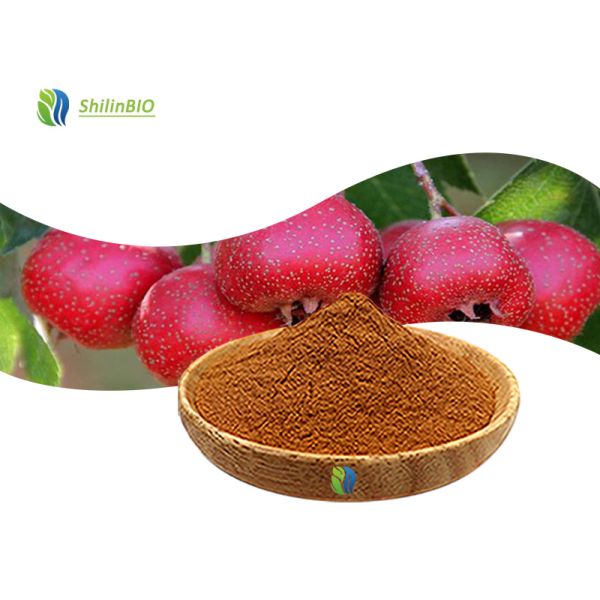 SLBIO Supply Hawthorn Leaf Berry Extract Flavonoids 5%-50% Plant Extract Hawthorn Extract Powder