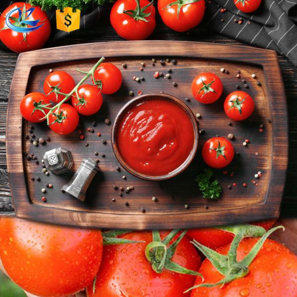 Fresh Concentrated Tomato Paste 36-38% – 99% Pure Natural Tomato Sauce