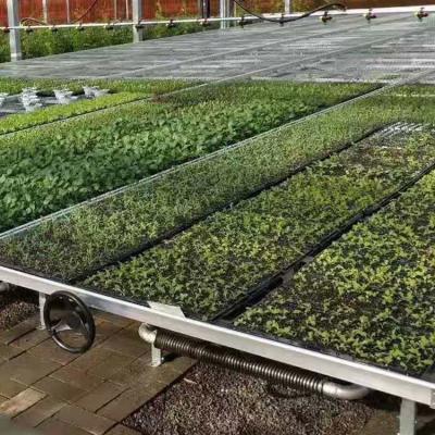 Silver Custom Greenhouse Benches Movable Seedling Bed Rolling Breeding