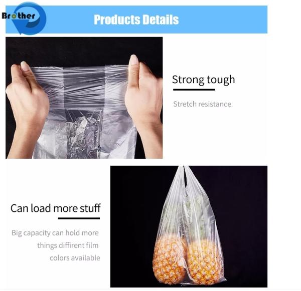 Recyclable Plastic Shopping Bag with Custom Logo Printing From China Supplier