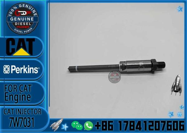 Diesel fuel nozzle 7w7026 7w7031 7W7032 7W7037 7w7038 7W7025 diesel fuel injector
