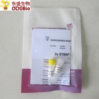 SYBR Green qPCR Mix high ROX+ for ABI DNA real time PCR 5ml