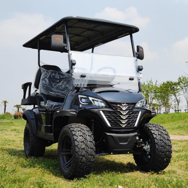 Electric Four Wheel New Energy 2 Seater Off Road Lifted Golf Carts