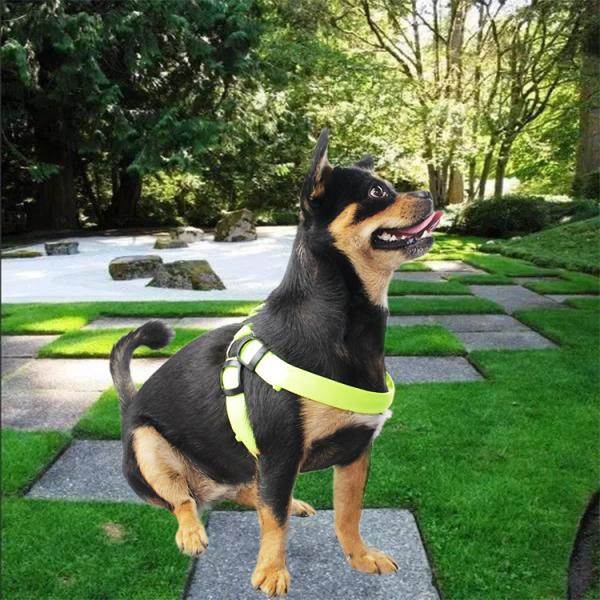 Training Led Dog Harness Glowing Security Pet Safety Fluorescent Soft USB Rechargeable