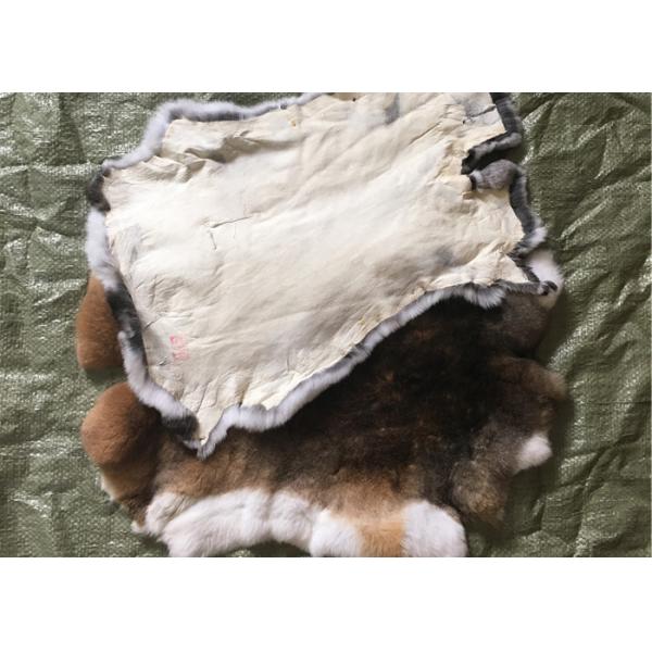 Piel bronceada amistosa del conejo de Eco Rex 1.5-3 longitudes de la piel del cm para la materia textil/las almohadas caseras