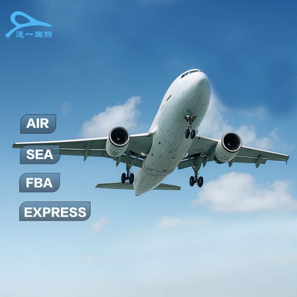 DDP International Freight Forwarder China , Cargo International Forwarders Services