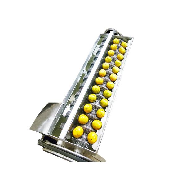Commercial farm use egg washing and weight sorted machine price, chicken egg water brush cleaned and drying sorting machine