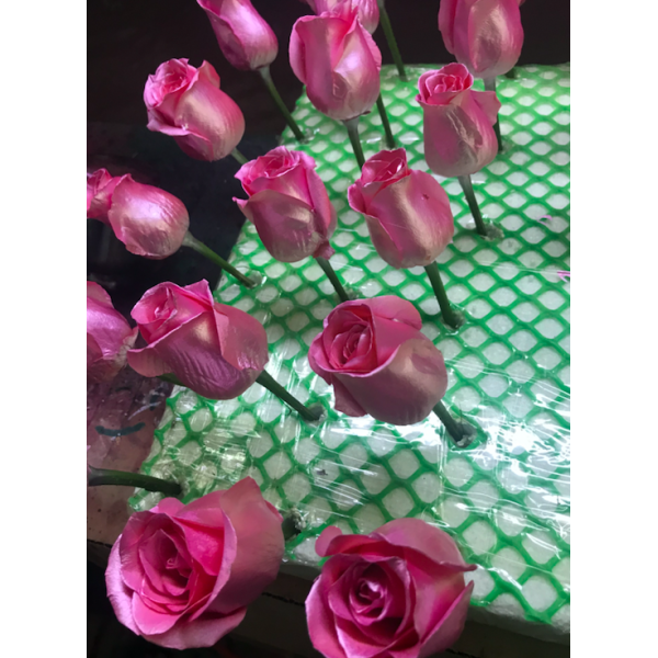 High Quality Gold Trimmed Rose Preserved Flower Beautiful Handmade Gifts for Woman