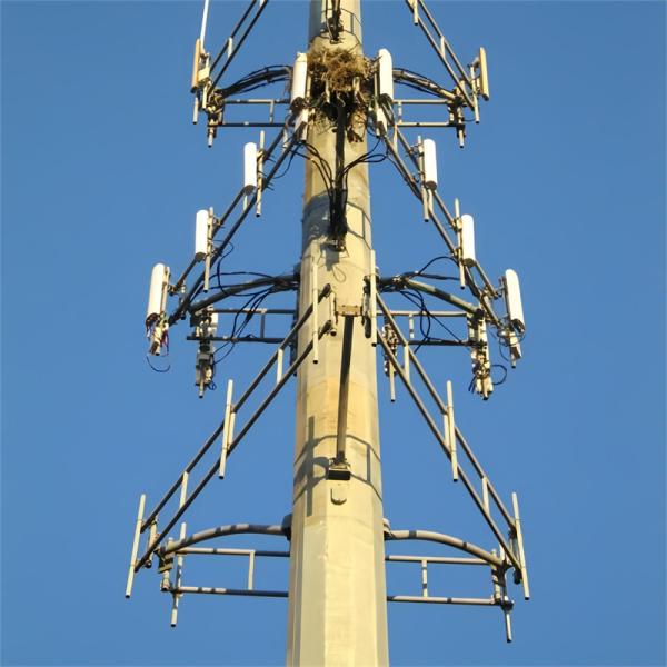 Prix autonome Wifi Téléphone cellulaire longue portée Plateforme de travail Micro-ondes Antenne Monopole en acier Tour