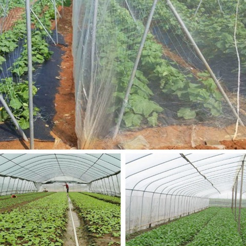 Durable Mesh Garden Net Variable Width Length for Backyard Gardening