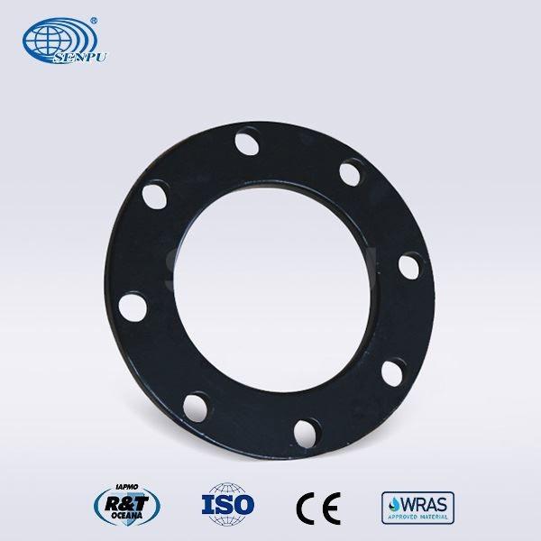 Rustproof PE Pipe Fitting Metal Stainless Steel Plate Flange 316L 304