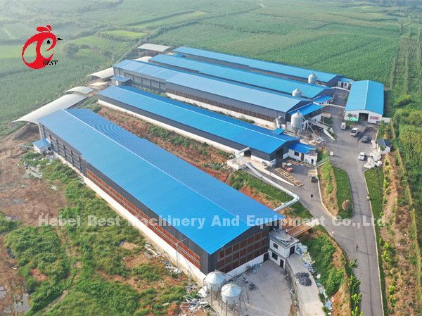 Cage de capas de aves de corral galvanizadas calientes y profundas para 20.000 aves