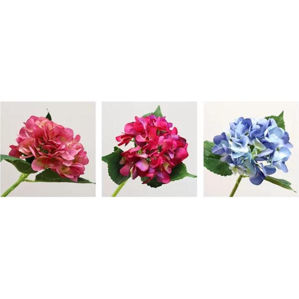 40cm 50cm 60cm Preserved Fresh Flowers Natural Dried Fluffy Pampas Grass