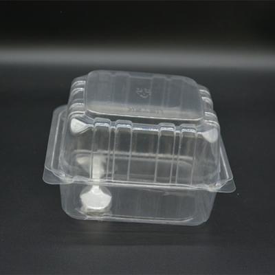 137mm Disposable Food Packaging Boxes PET Fruit Clamshell Packaging