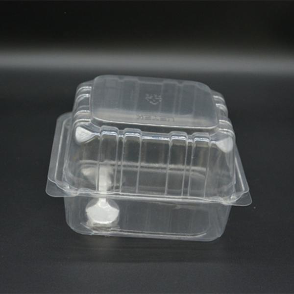 137mm Disposable Food Packaging Boxes PET Fruit Clamshell Packaging