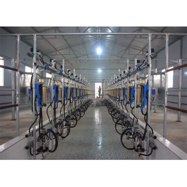 HL-G1 Herringbone Structure Milking Parlor with 380V/50Hz Power and CE ISO SGS FDA Certification