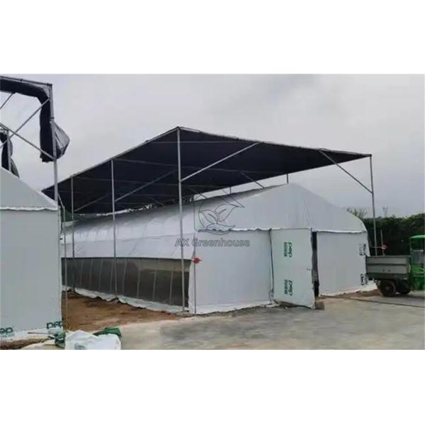 Single-span film blackout Light Deprivation greenhouse for growing mushrooms