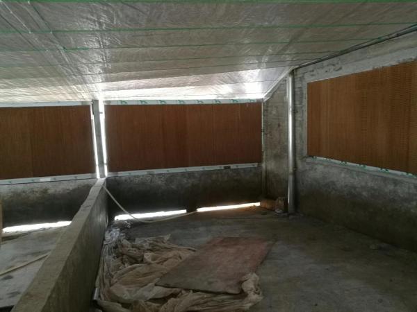 UV Resistant Cooling Pad Wall Lower The Farm Temperature For Poultry Houses