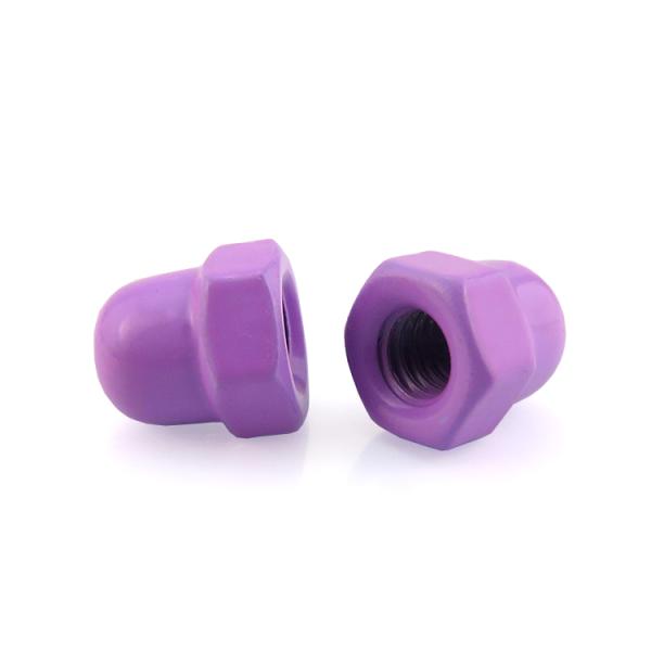 Passivation Domed Cap Nuts M2 Purple Grade 6.8 Nickel Plated Metal Nut