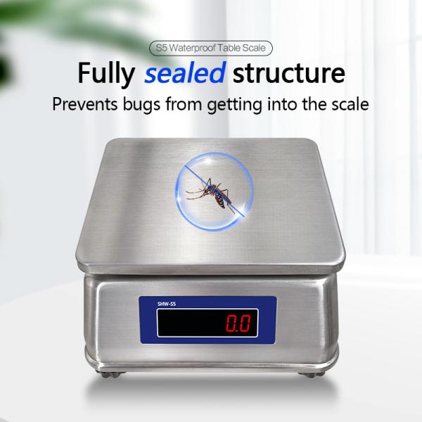 SOHE S5 3KG Stainless Steel Scale with Dual LED Display and IP68 Waterproof Rating