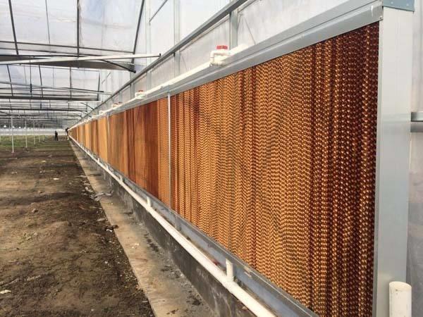 Qingzhou Factory-Sourced Electric Cooling Pad for Greenhouse Pig Pen Humidifier Green Source with Black Coating