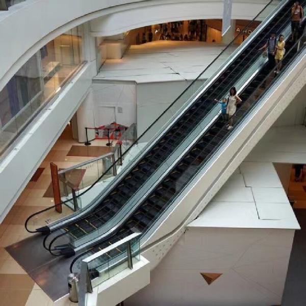 Energy Efficient Lift – Consumes Just 0.5 kWh, Handles 100 Passengers per Minute