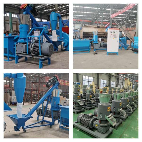 CE en bois en bois de machine de production de granule du moulin 380V de granule de matrice de l'appartement 500kg/H