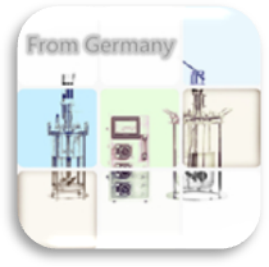 Laboratory Small Classic Glass Bioreactor Fermenter 1L - 15L FMT-L Series